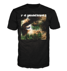 SAUCER FULL OF SECRETS